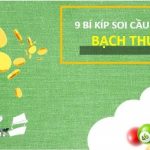 Bạch thủ lô Miền Bắc là gì? Cách soi cầu bắt con lô bạch thủ duy nhất