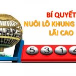 Nuôi lô bạch thủ khung 3 ngãy miễn phí